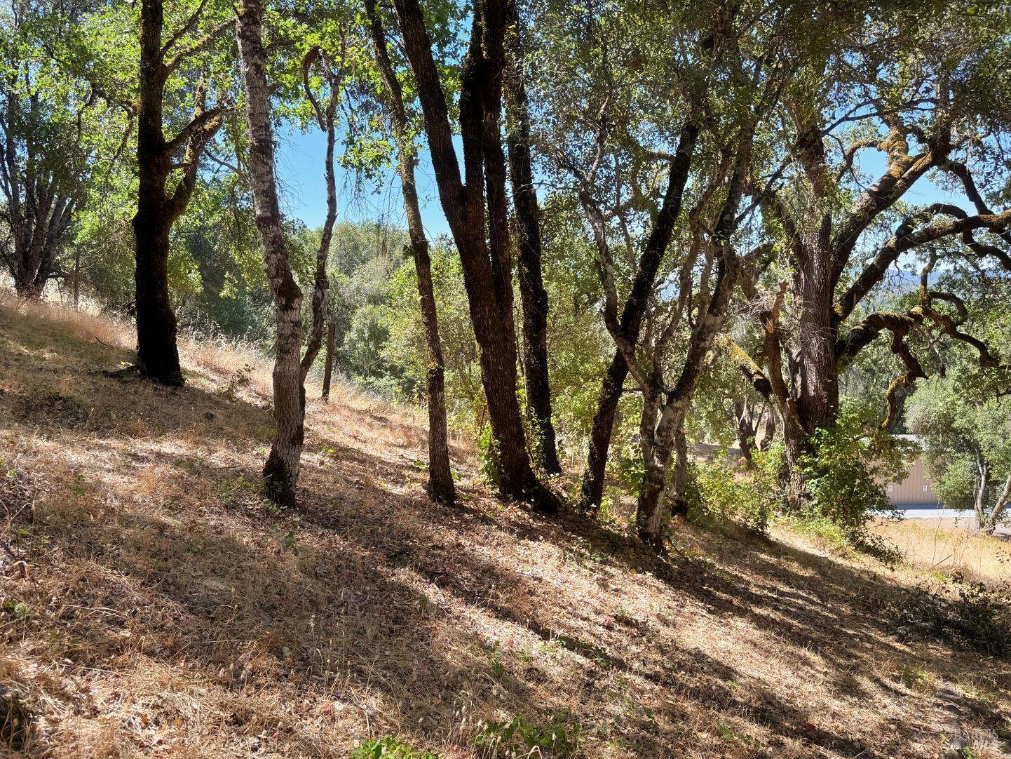0 Lone Pine Drive Redwood Valley CA 95470