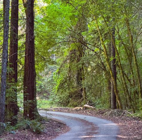 3150 Mill Creek Road Healdsburg CA 95448