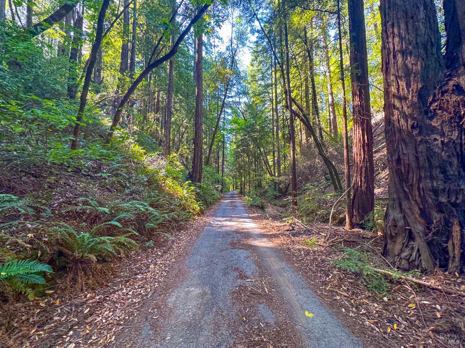 3150 Mill Creek Road Healdsburg CA 95448