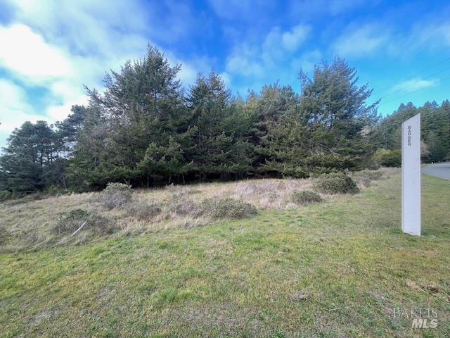 237 Badger The Sea Ranch CA 95497