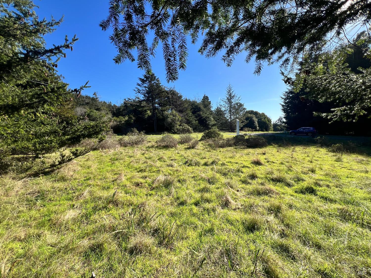 237 Badger The Sea Ranch CA 95497