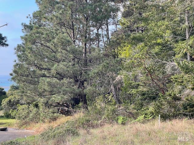 237 Badger The Sea Ranch CA 95497