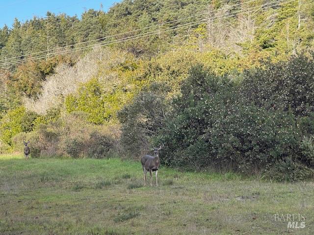 237 Badger The Sea Ranch CA 95497
