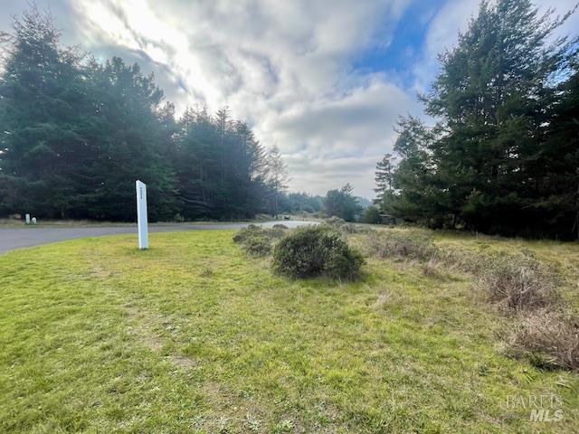 237 Badger The Sea Ranch CA 95497