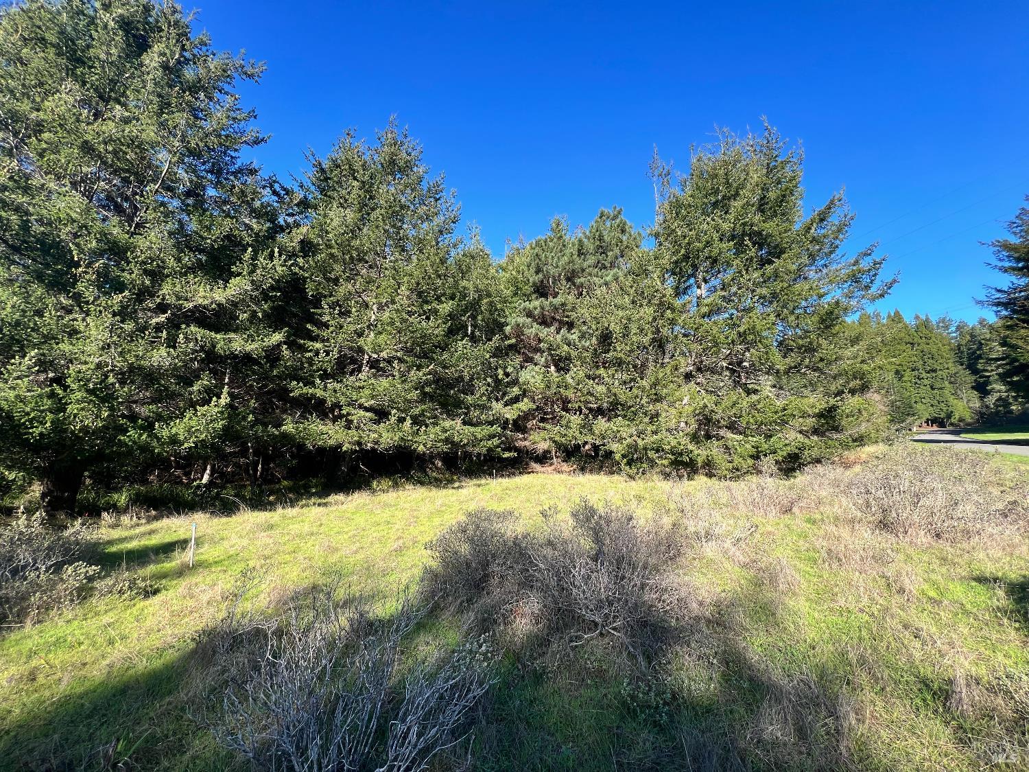 237 Badger The Sea Ranch CA 95497