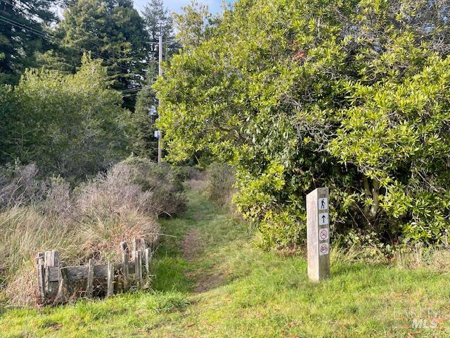 237 Badger The Sea Ranch CA 95497