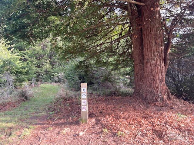 237 Badger The Sea Ranch CA 95497