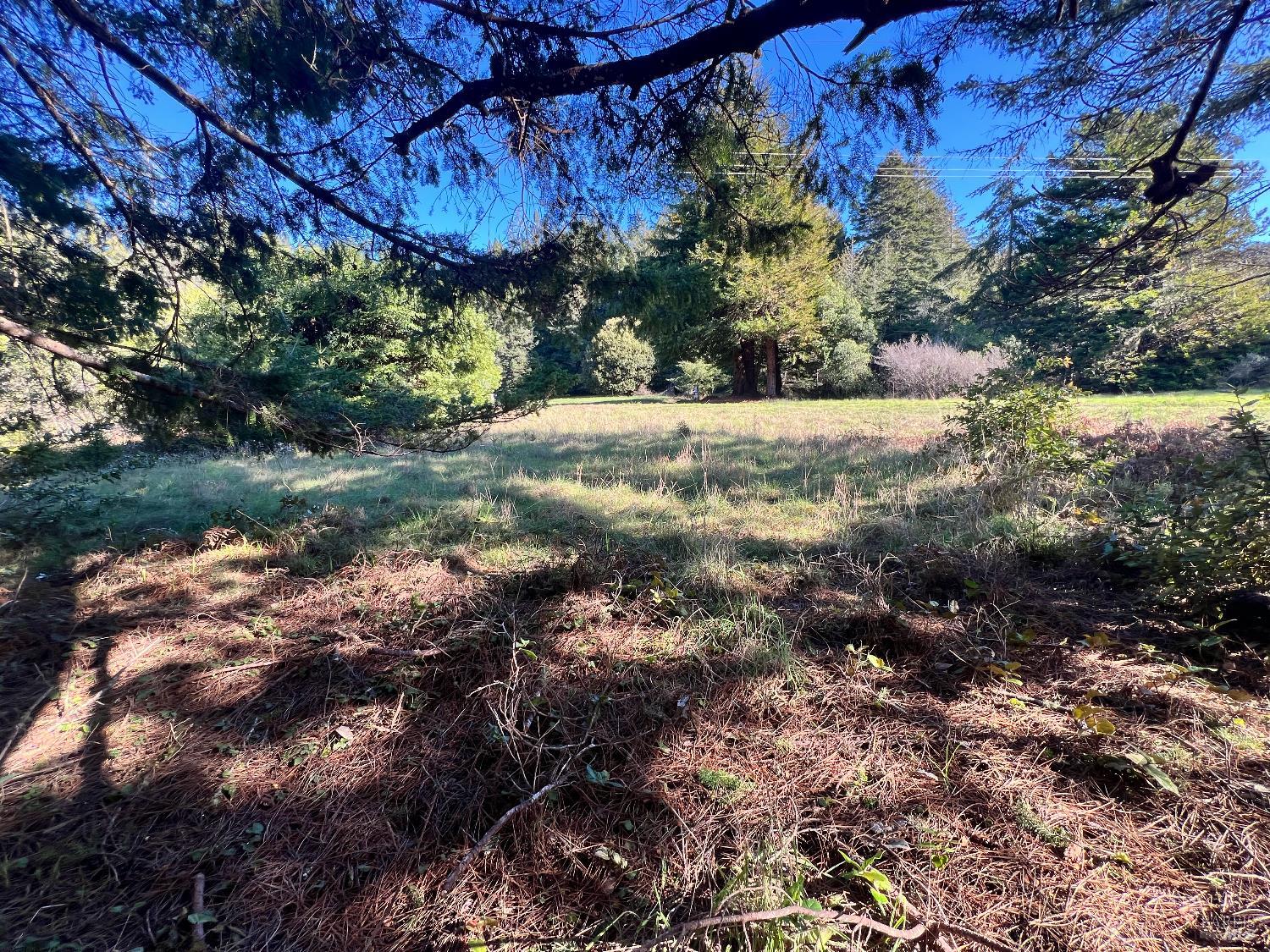 237 Badger The Sea Ranch CA 95497