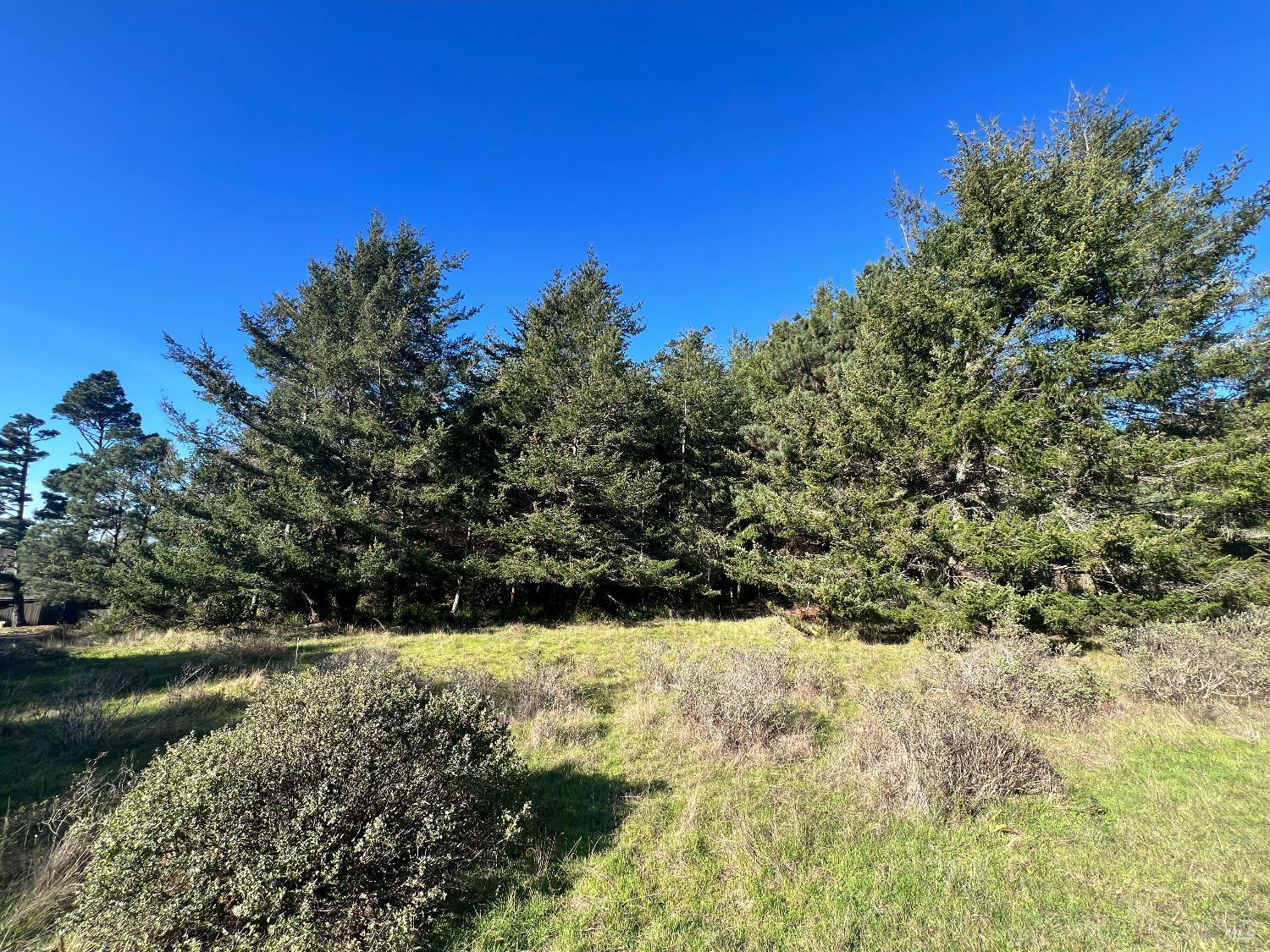 237 Badger The Sea Ranch CA 95497