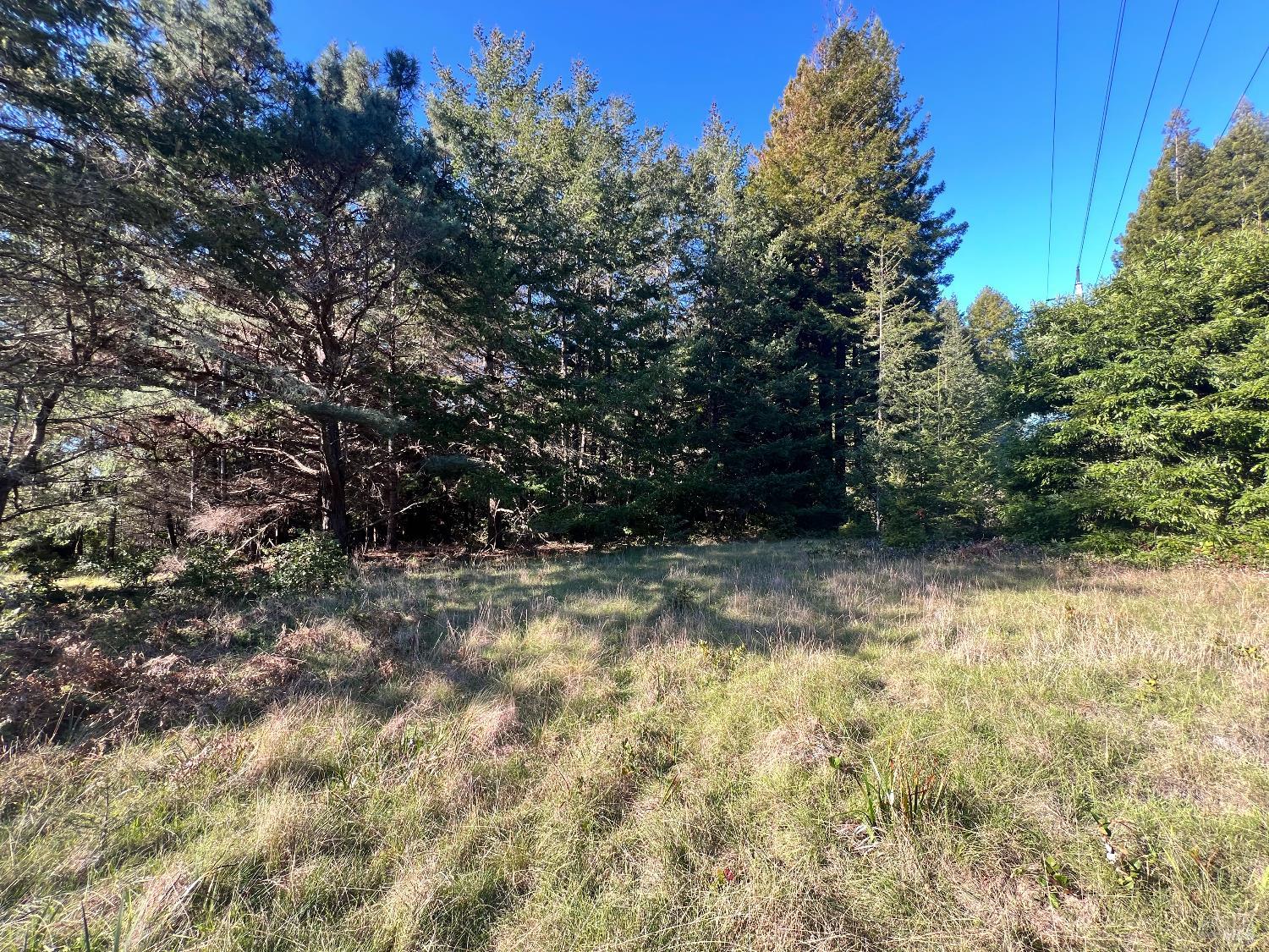 237 Badger The Sea Ranch CA 95497