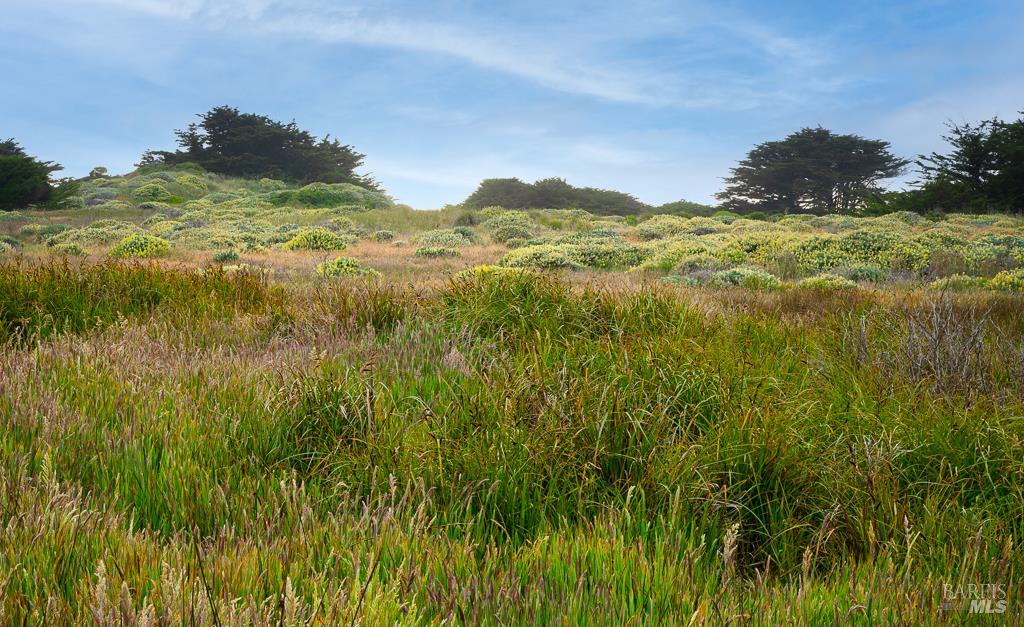 42080 Rock Cod The Sea Ranch CA 95497