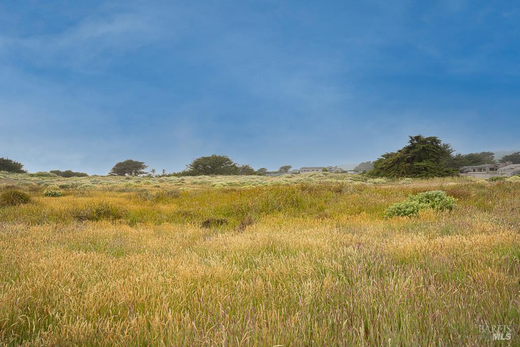 42080 Rock Cod The Sea Ranch CA 95497