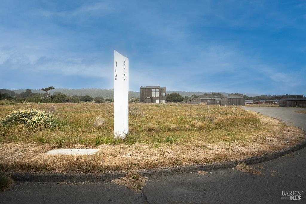 42080 Rock Cod The Sea Ranch CA 95497