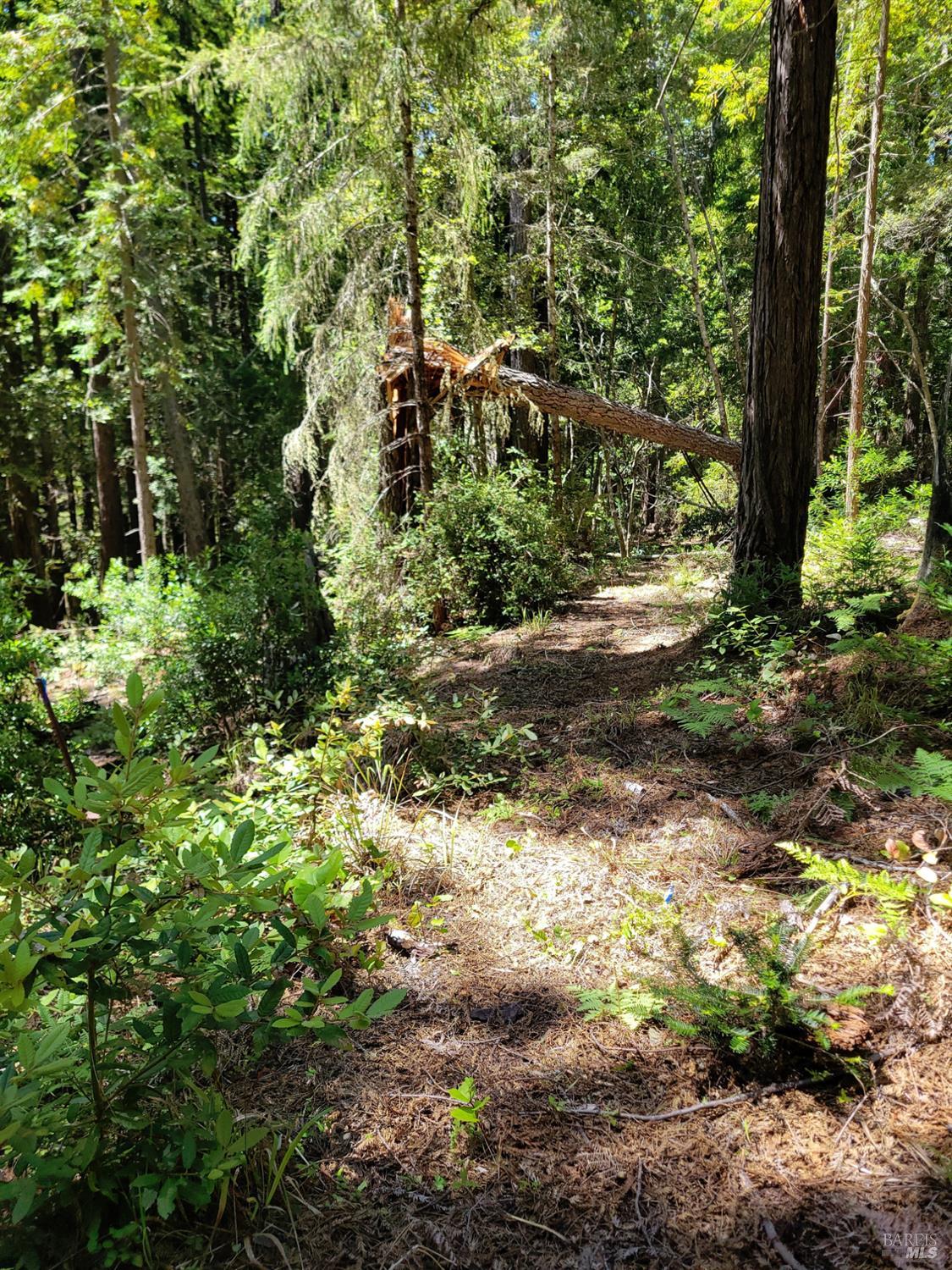 35320 Crows Nest Drive The Sea Ranch CA 95497