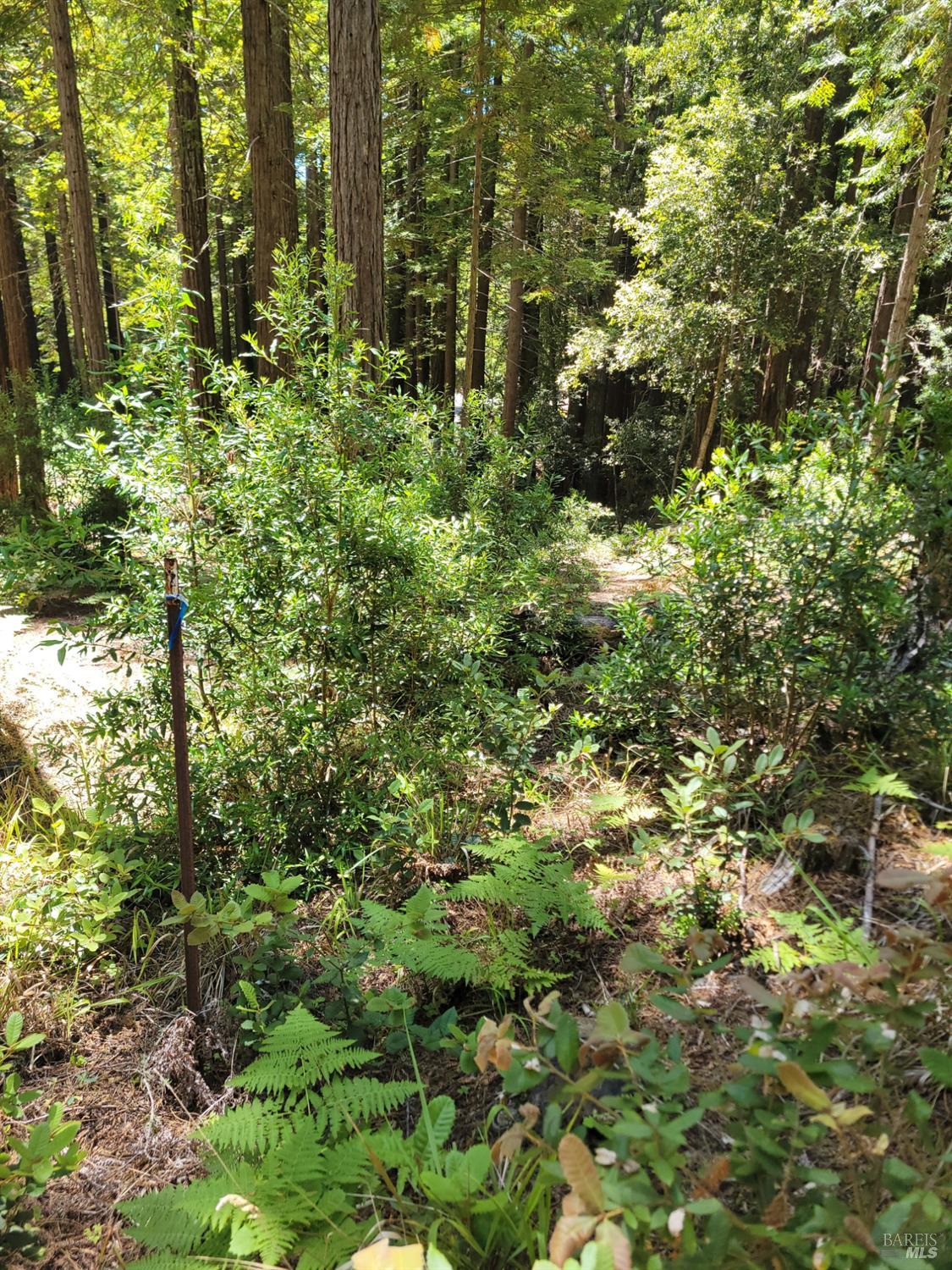 35320 Crows Nest Drive The Sea Ranch CA 95497