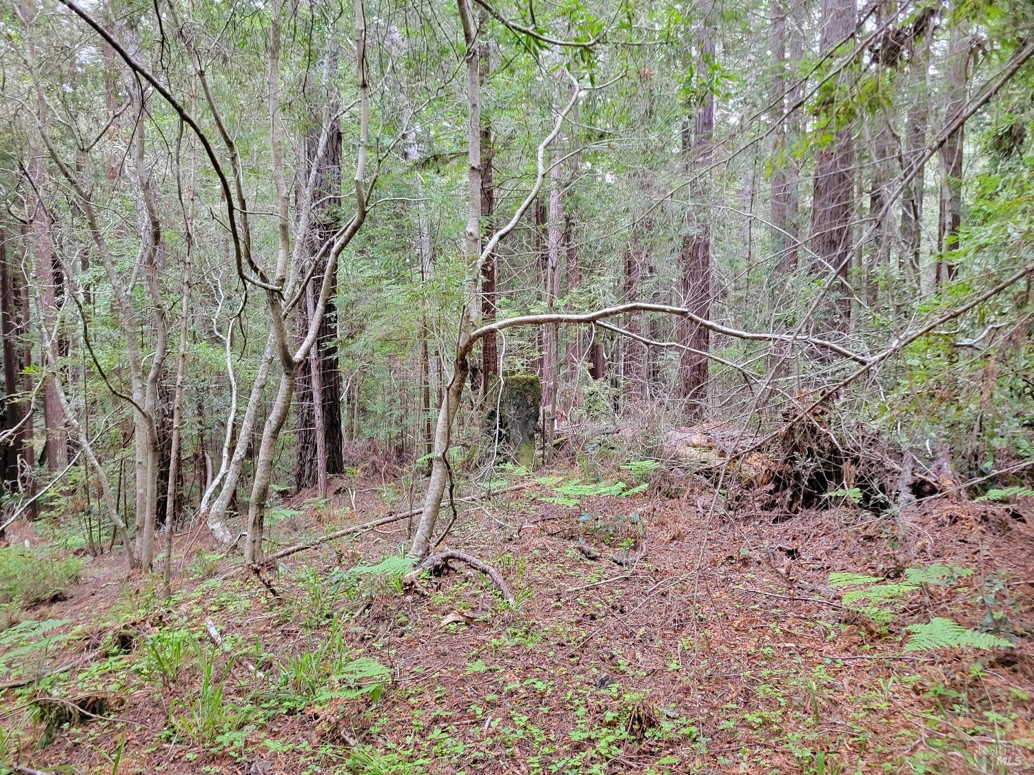 35320 Crows Nest Drive The Sea Ranch CA 95497