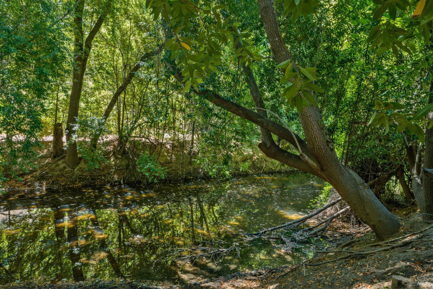 8670 Scotts Valley Road Upper Lake CA 95485