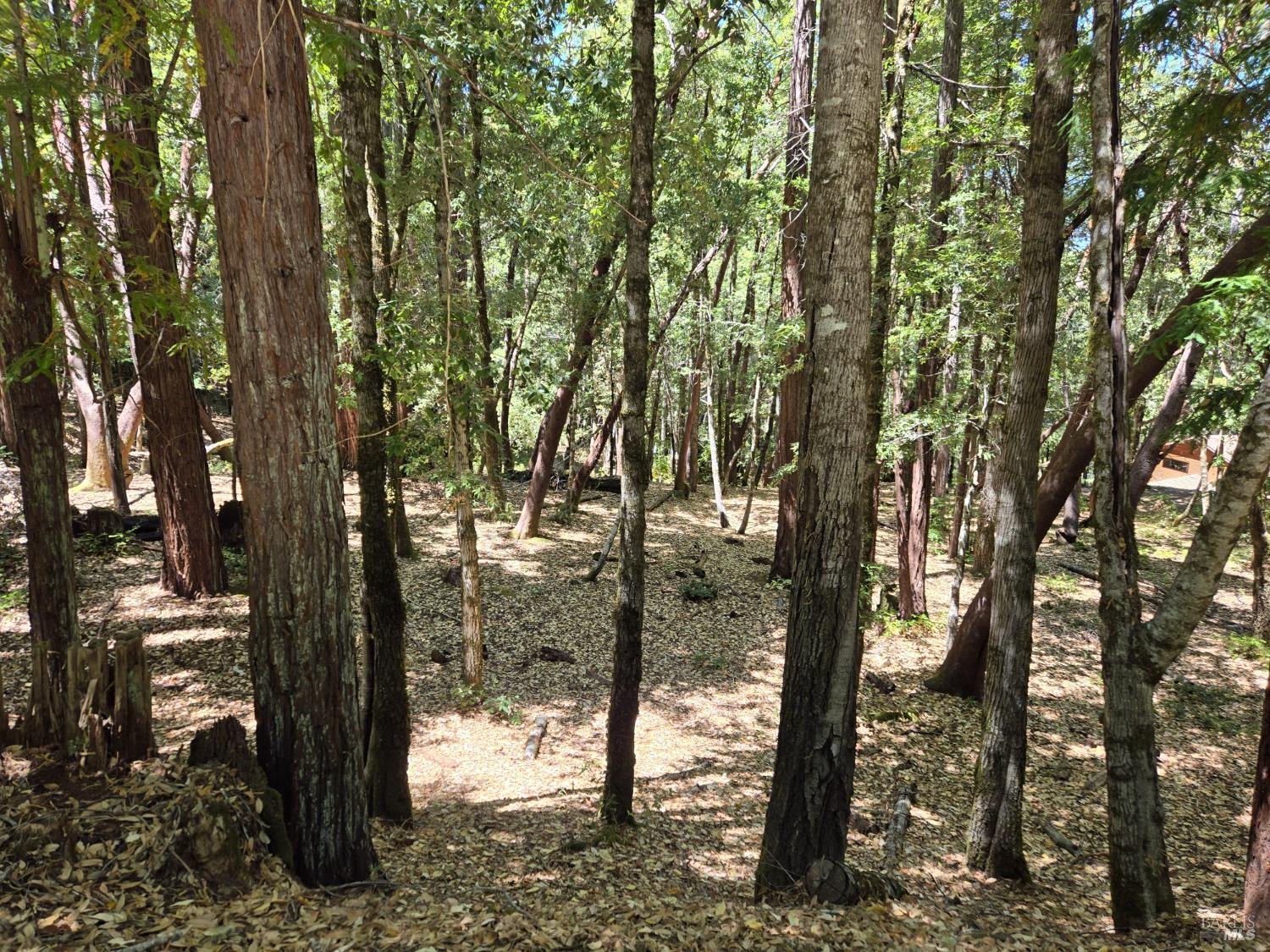 1694 Ponderosa Road Willits CA 95490