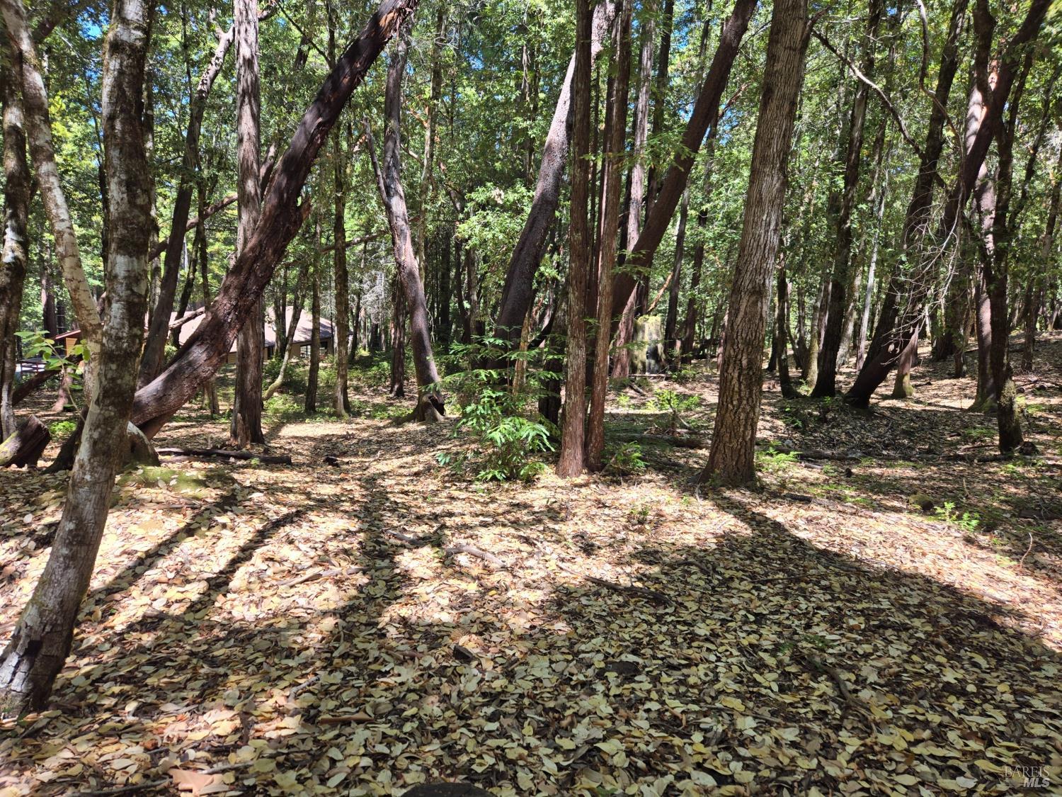 1694 Ponderosa Road Willits CA 95490