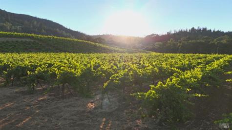 8207 W Dry Creek Road Healdsburg CA 95448