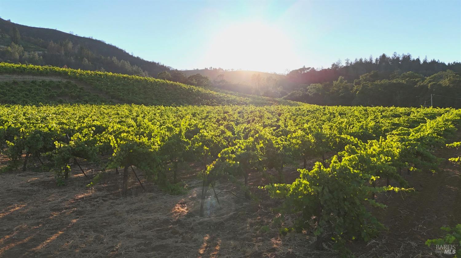 8207 W Dry Creek Road Healdsburg CA 95448