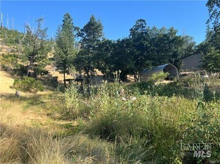 14533 Snead Drive Cobb CA 95426