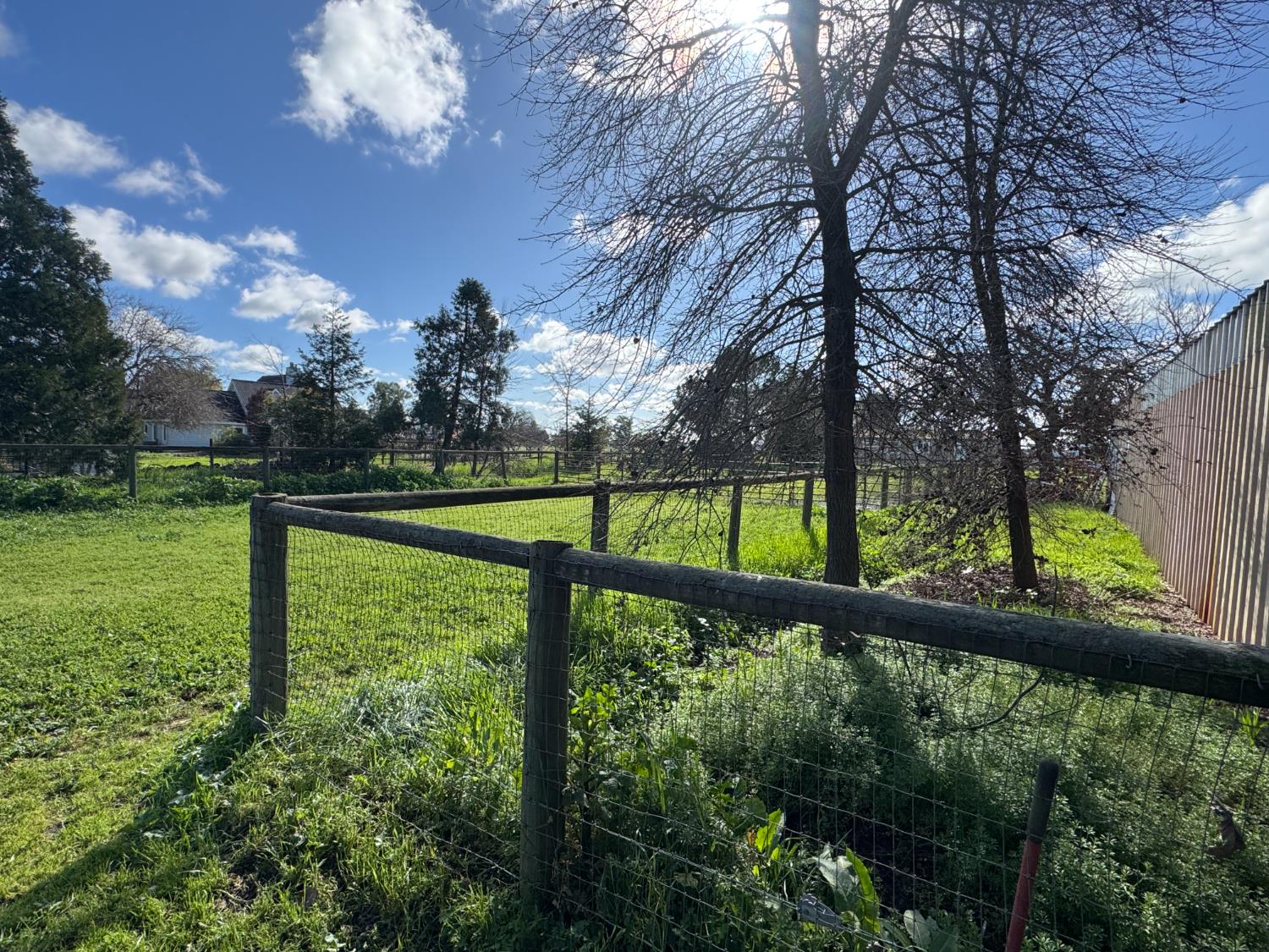 36100 Russell Boulevard Davis CA 95616
