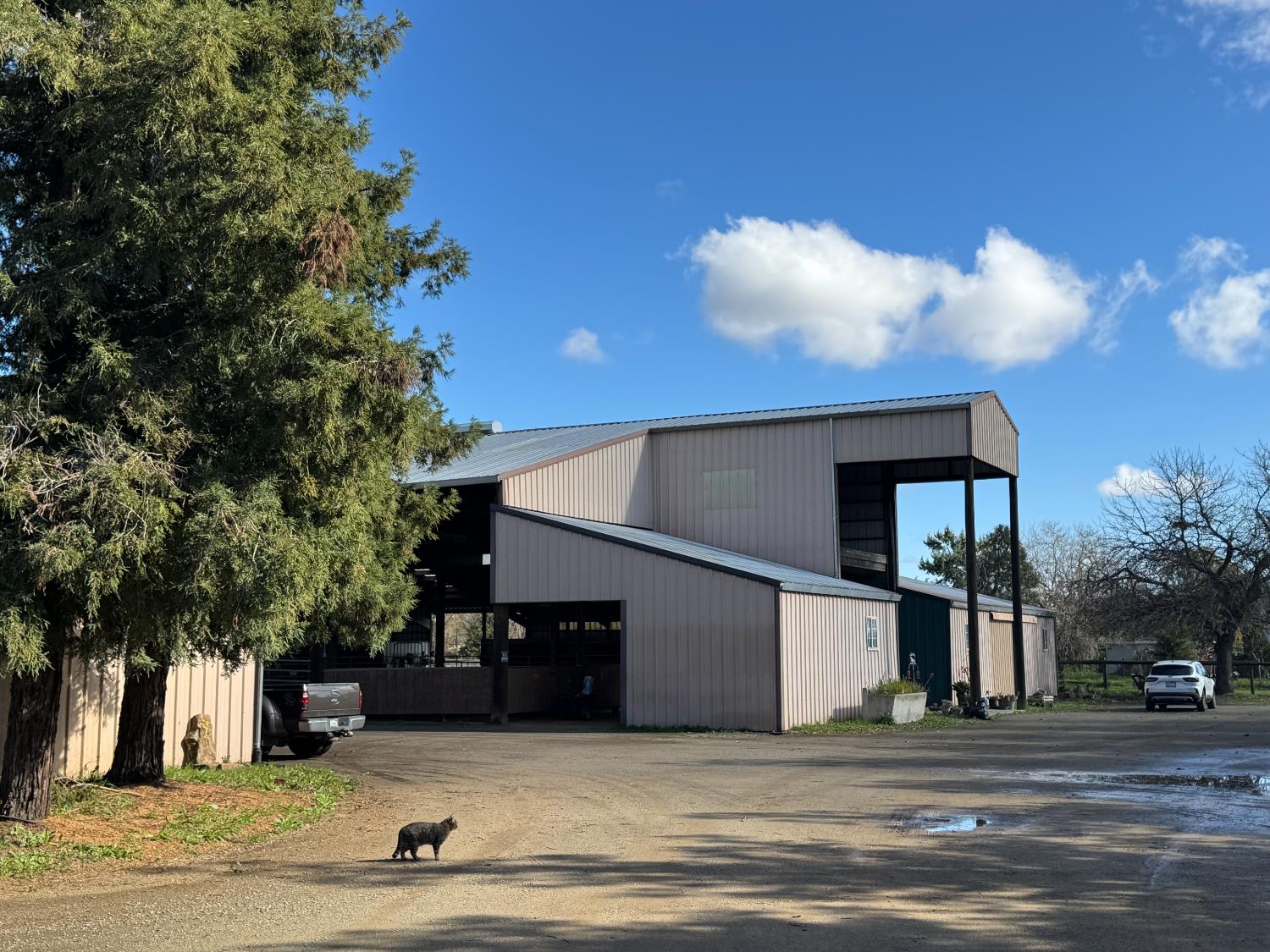 36100 Russell Boulevard Davis CA 95616