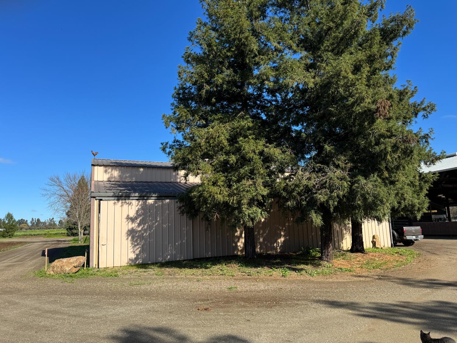 36100 Russell Boulevard Davis CA 95616