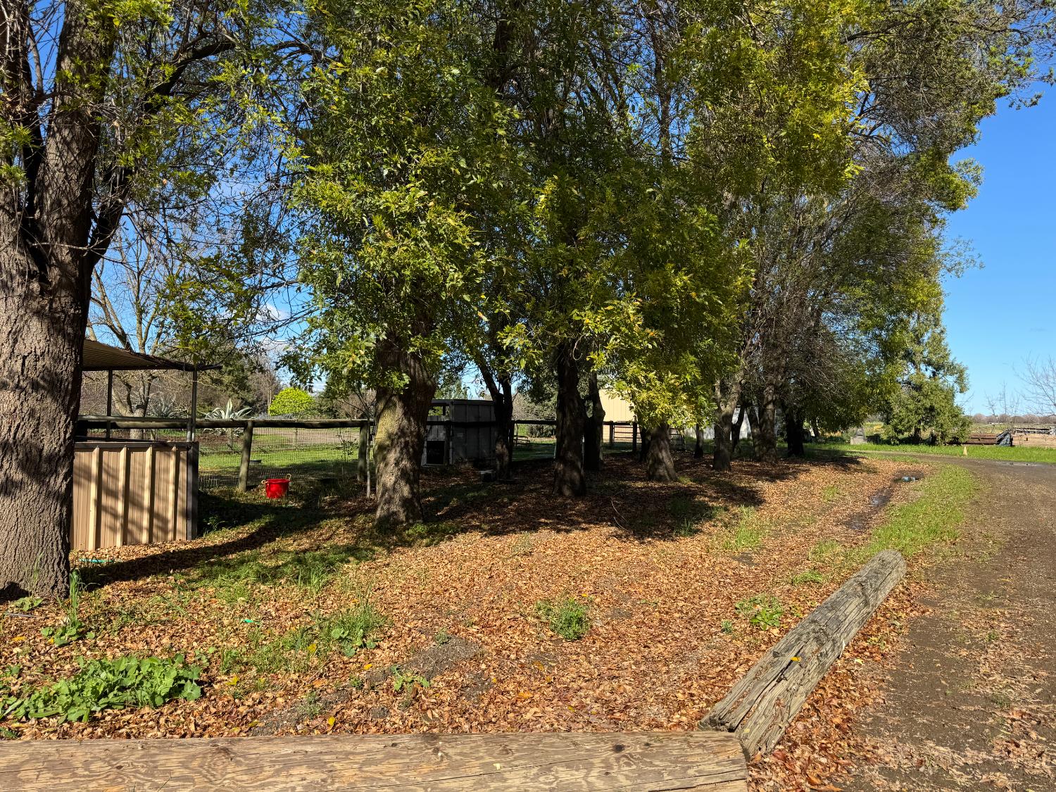 36100 Russell Boulevard Davis CA 95616
