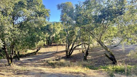 6555-PARCEL 2 Enterprise Road Glen Ellen CA 95442