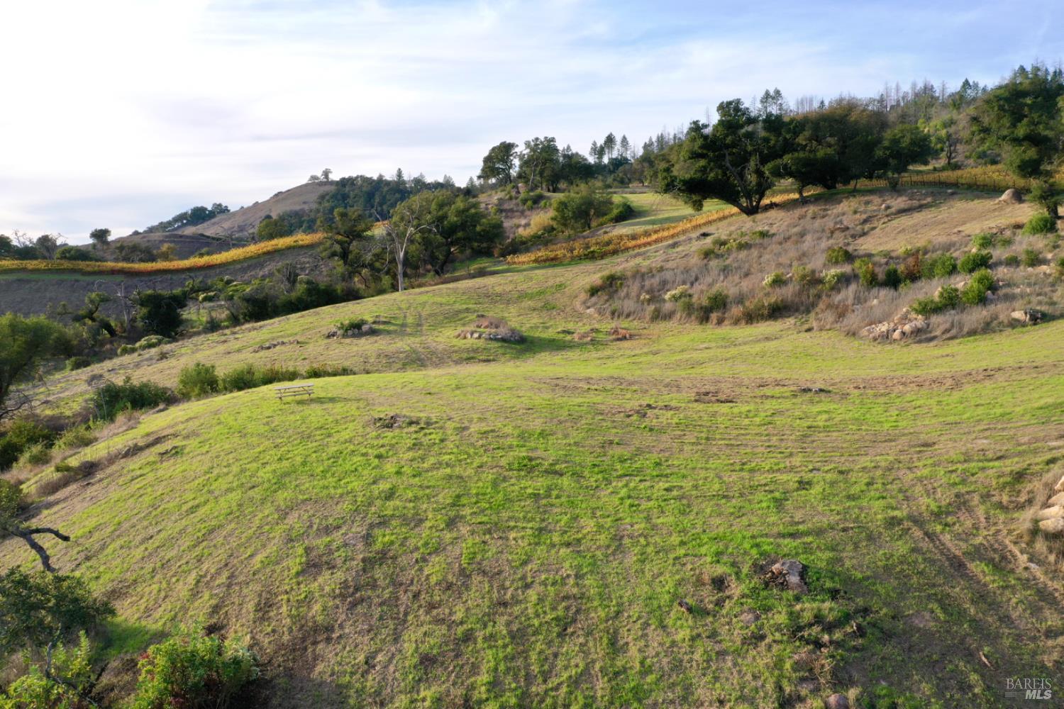 594 Artisan Circle Geyserville CA 95441