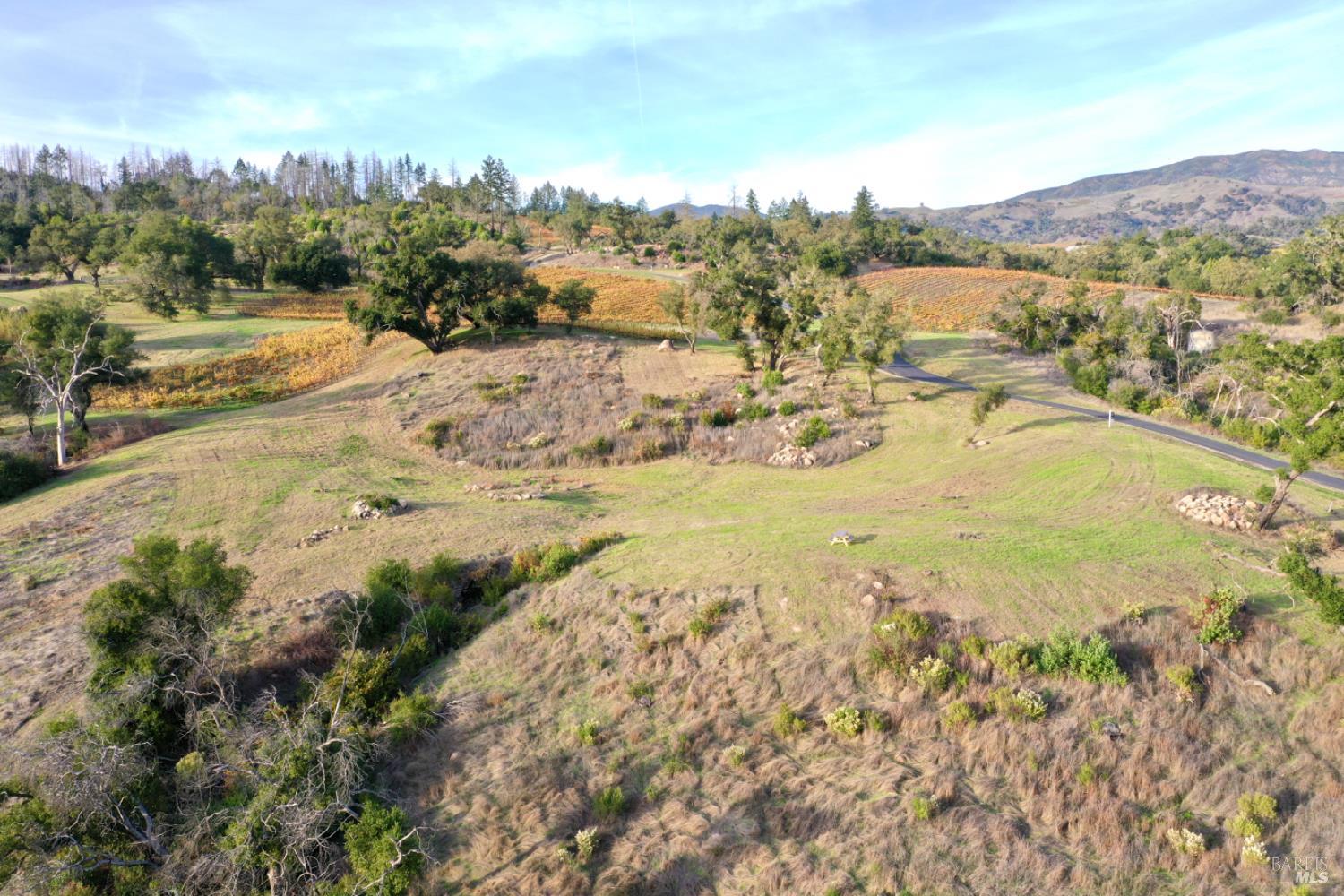 594 Artisan Circle Geyserville CA 95441