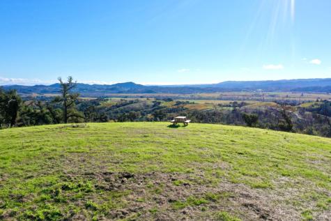 594 Artisan Circle Geyserville CA 95441