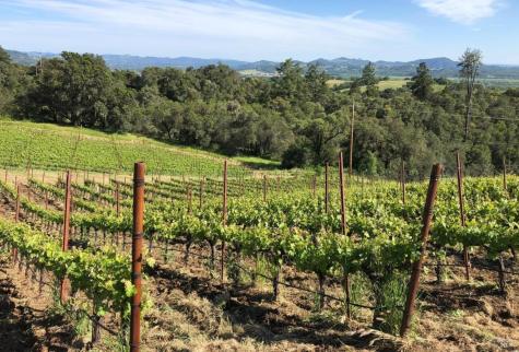 594 Artisan Circle Geyserville CA 95441