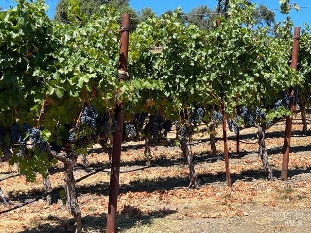 594 Artisan Circle Geyserville CA 95441