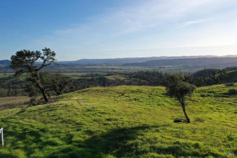 594 Artisan Circle Geyserville CA 95441
