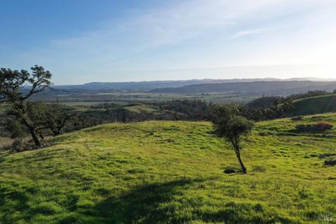 594 Artisan Circle Geyserville CA 95441
