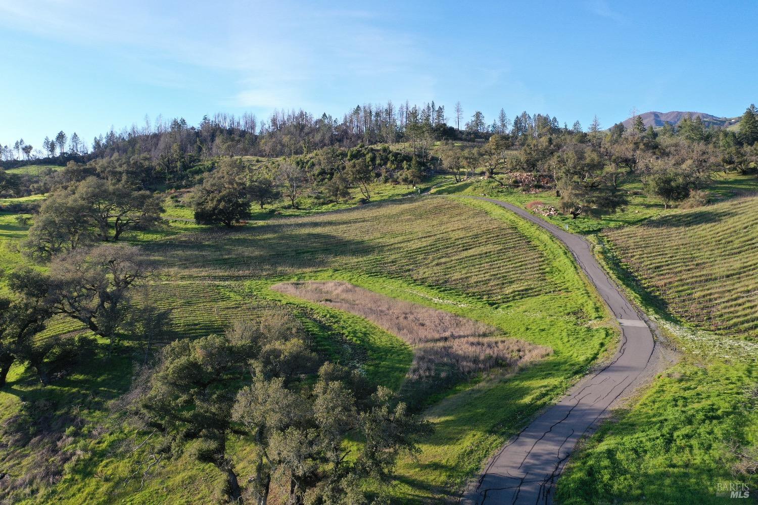 594 Artisan Circle Geyserville CA 95441