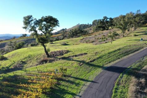 594 Artisan Circle Geyserville CA 95441