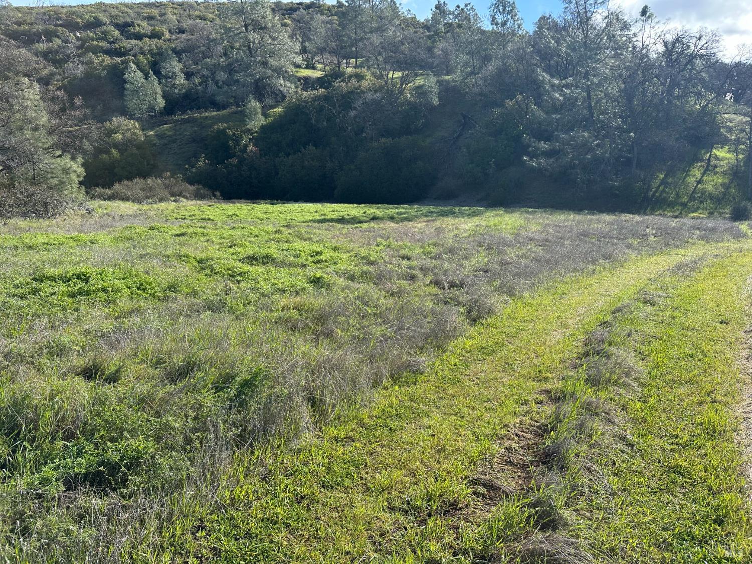 25156 E State Highway 20 Highway Clearlake Oaks CA 95423