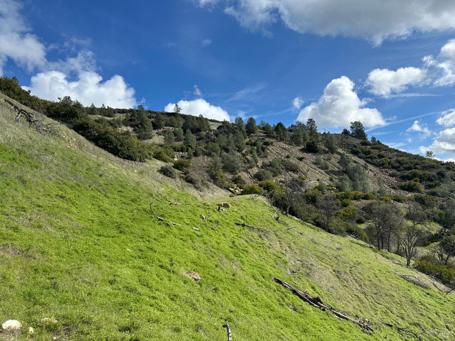 25156 E State Highway 20 Highway Clearlake Oaks CA 95423