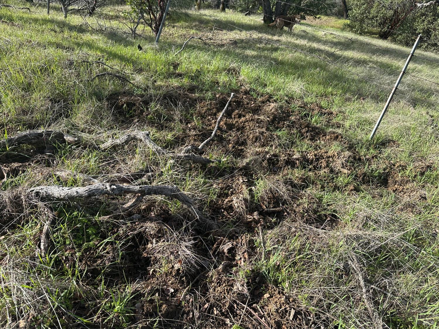 25156 E State Highway 20 Highway Clearlake Oaks CA 95423