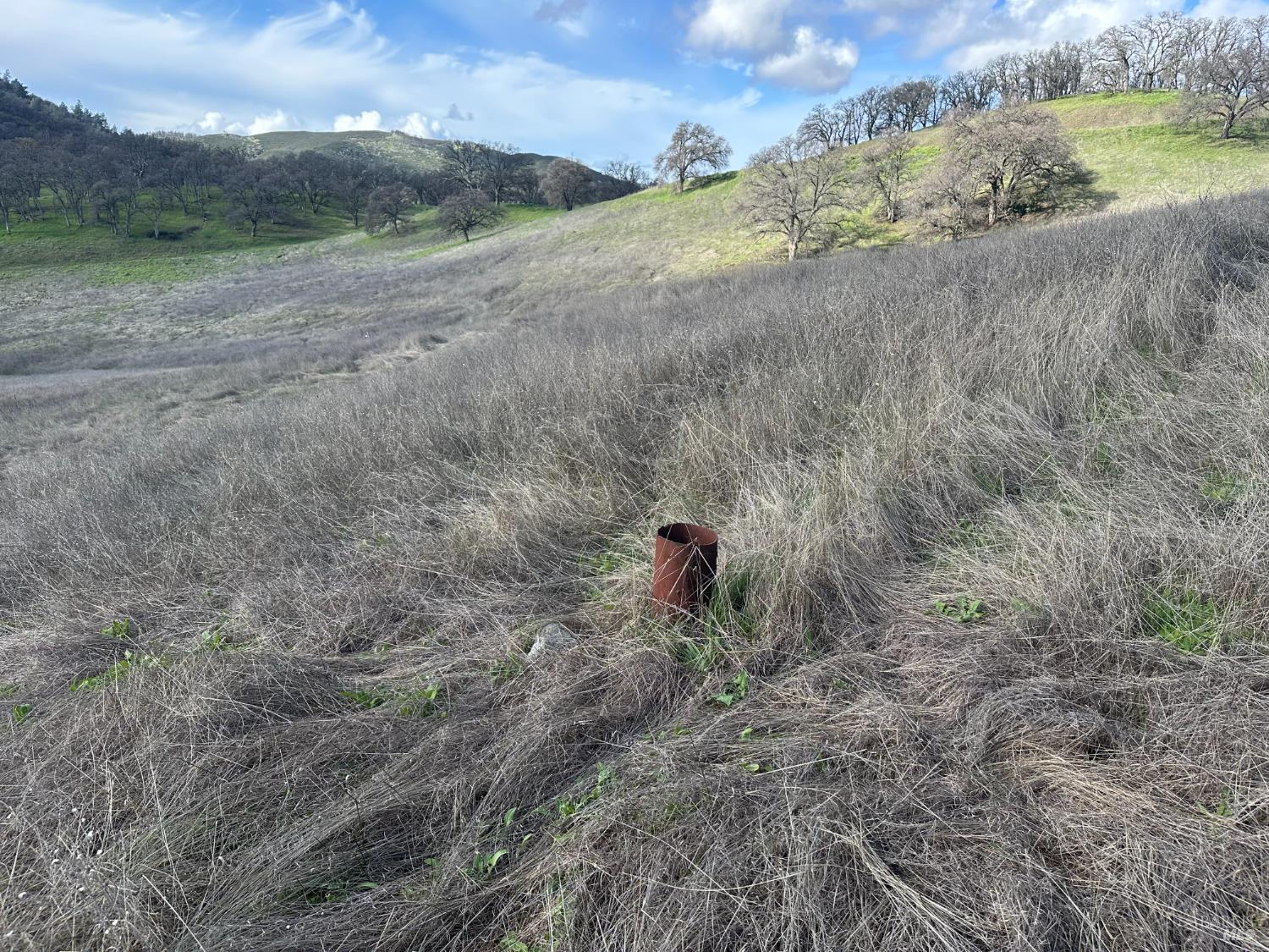 25156 E State Highway 20 Highway Clearlake Oaks CA 95423