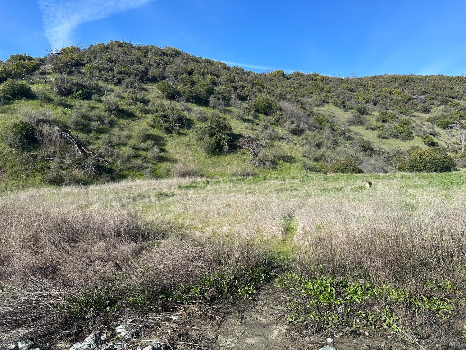 25156 E State Highway 20 Highway Clearlake Oaks CA 95423