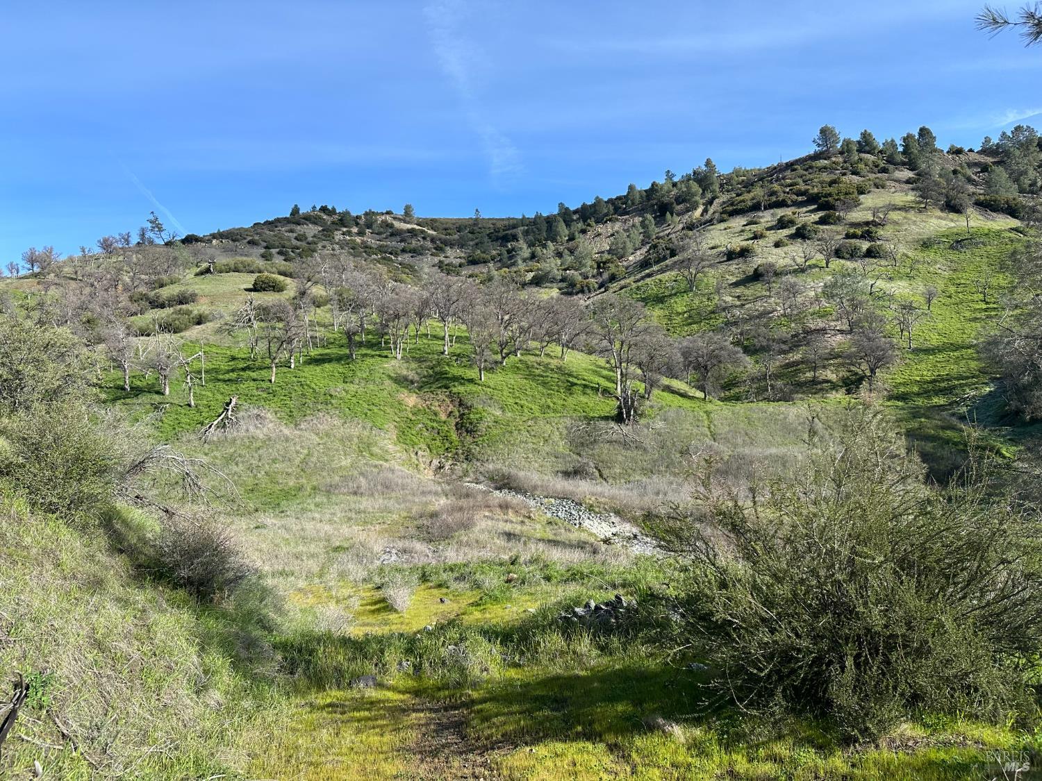 25156 E State Highway 20 Highway Clearlake Oaks CA 95423