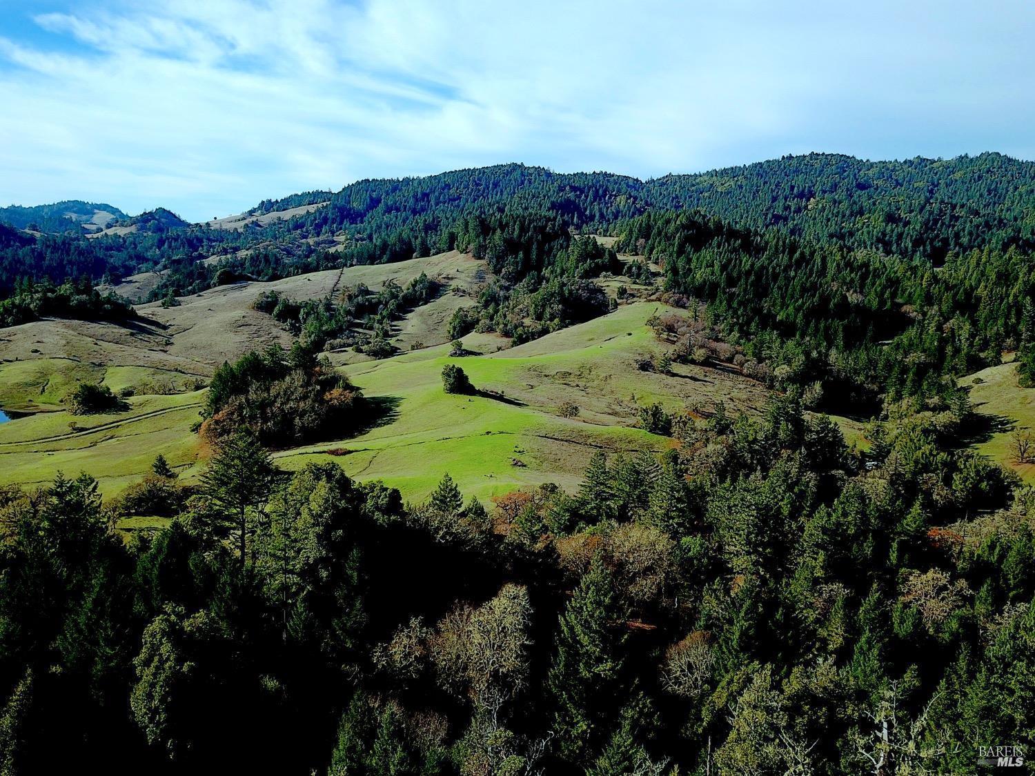 1450 Ca-20 Willits CA 95490