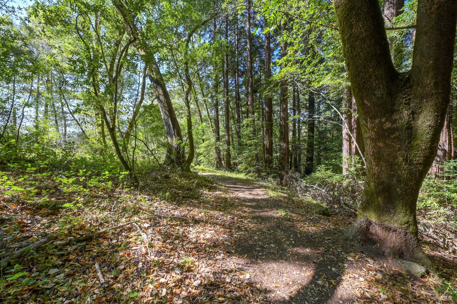 9 Meadow View Lane San Geronimo CA 94963