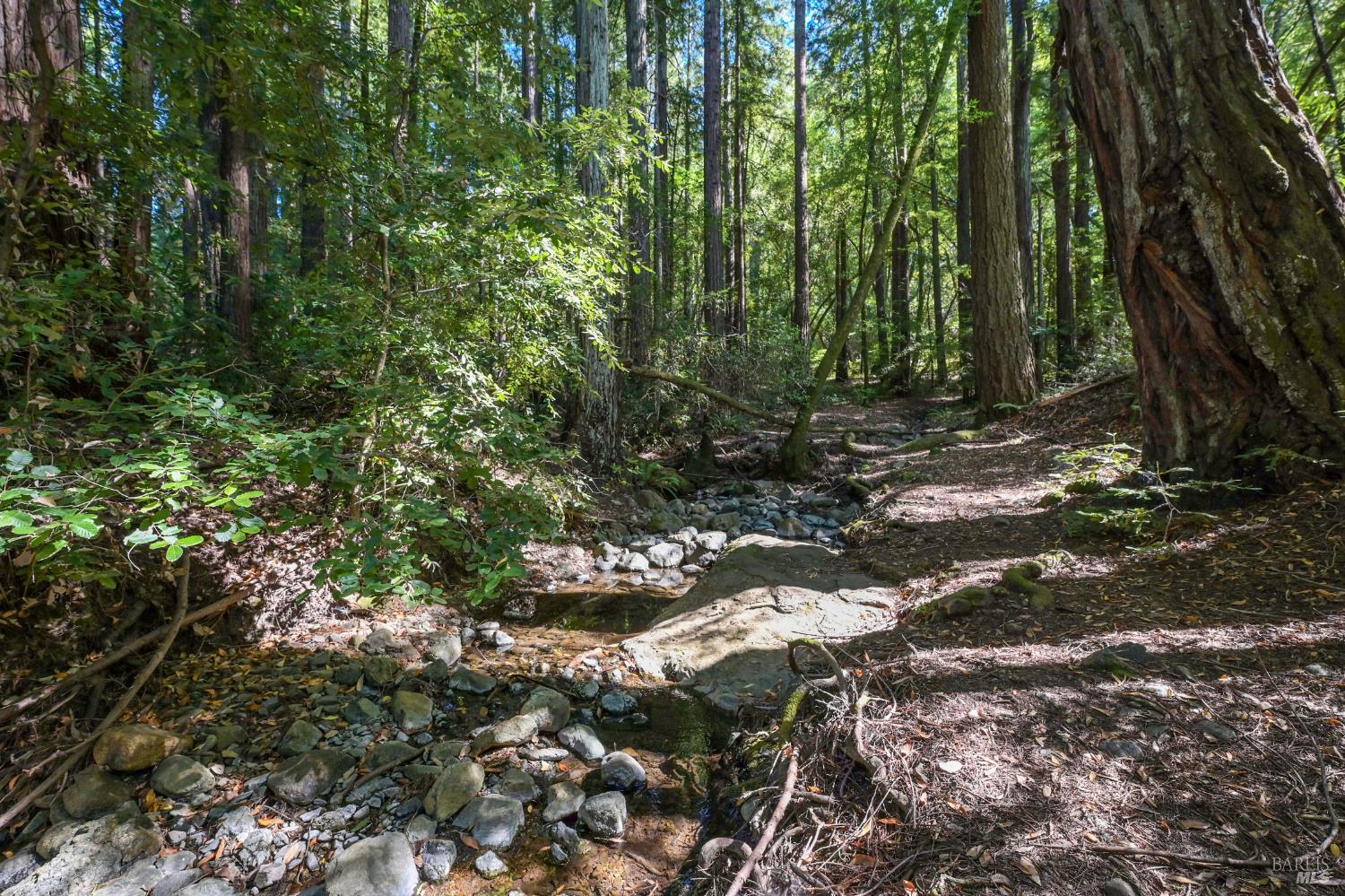 9 Meadow View Lane San Geronimo CA 94963