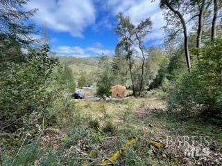9 Meadow View Lane San Geronimo CA 94963